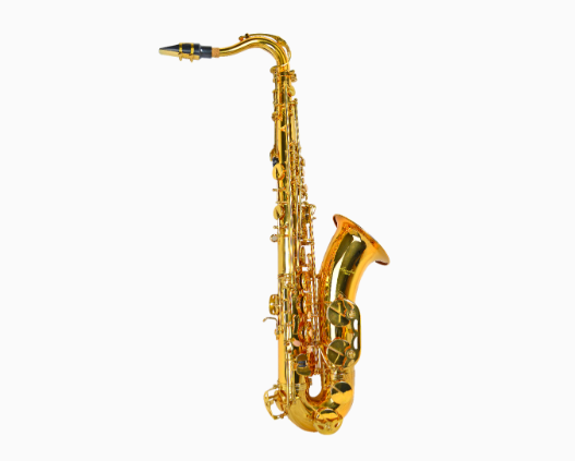 SAXO TENOR SIB AMADEUS TS910