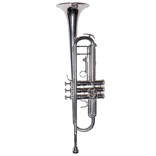 [5215332] TROMPETA TAYLOR COLLINS TCTR-01HD