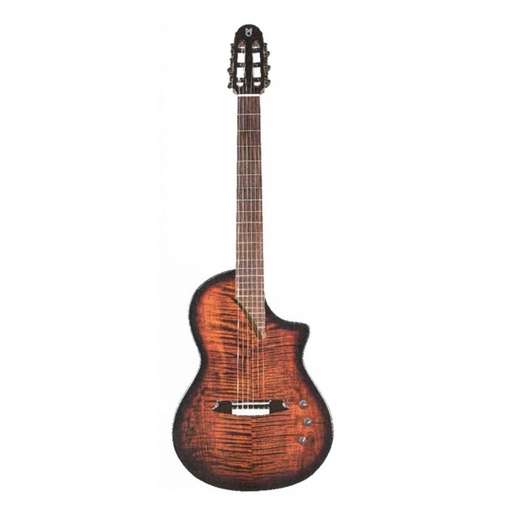 [HISPANIACOÑAC] JOSE RINCON HISPANIA RED COÑAC, GUITARRA DE ESCENARIO
